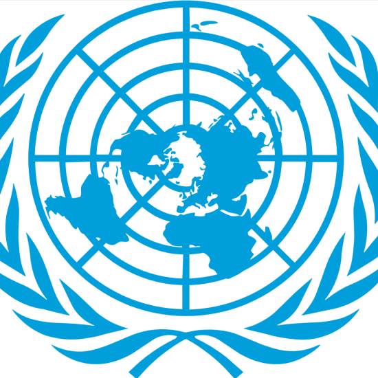 UN Emblem and Flag UN Emblem and Flag