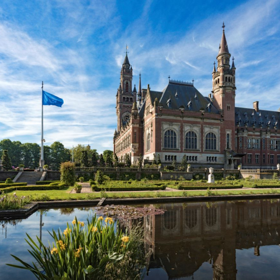 Peace Palace, United Nations 75 years Human Rights