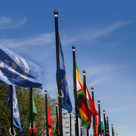 Human Rights Day United Nations 10 december 2023 75 years