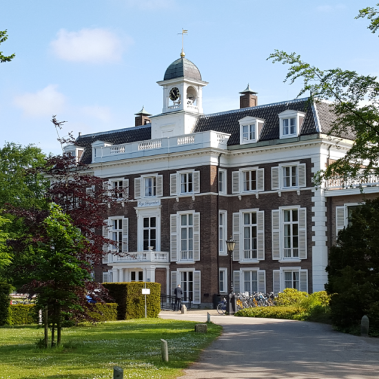 Clingendael Institute Clingendael Institute