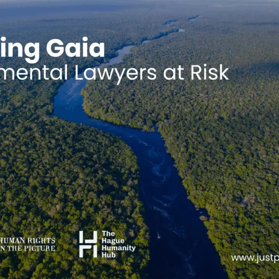 An aerial view of a green jungle with a river.