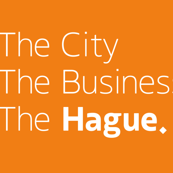the city the business the hague
