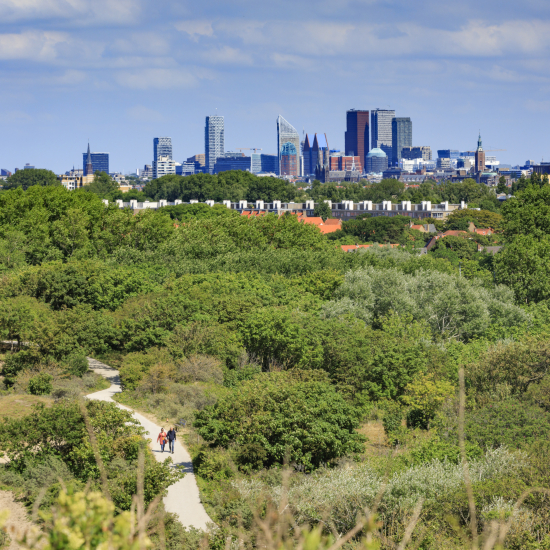 Green The Hague