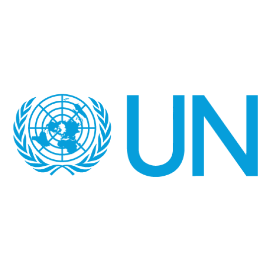 Logo of the United Nations featuring a globe and branches