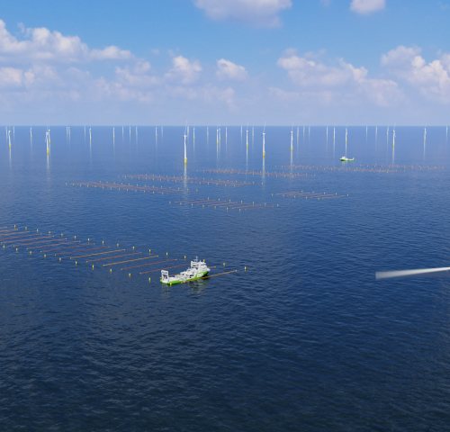 Smartland Landscape Architecture - Photo rights Multiple use of windmill farm