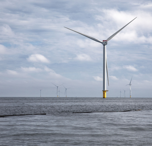 North Sea Farmers seaweed farm - AMAZON-NorthSeaSeaweed Picture Credits KLOET-01dd11072025