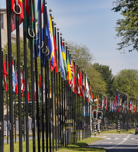 Johan de Wittlaan The Hague International Zone
