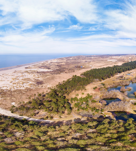 Panorama van duinen, zee en bossen bij de kust