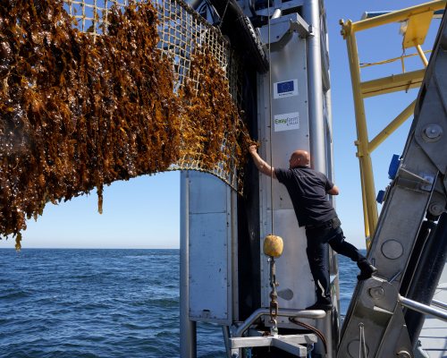 Harvesting Seaweed picture made by Jurriaan Brobbel Fotografie