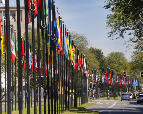 Johan de Wittlaan The Hague International Zone