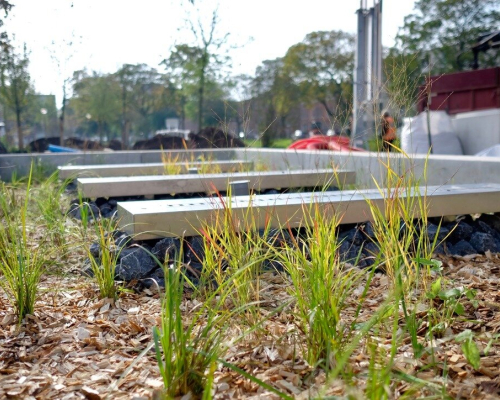 Urban Water Buffer CromvlietPark The Hague, photo credits for Valerie Kuypers