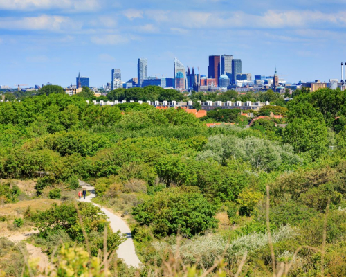 Skyline The Hague view from the dunes Low res