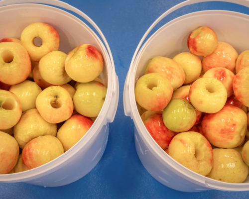 00% zero waste factory and total value Yespers apples underway to breakfast product