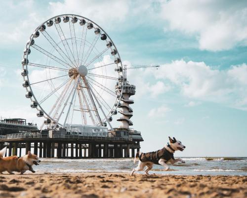 De Pier Scheveningen