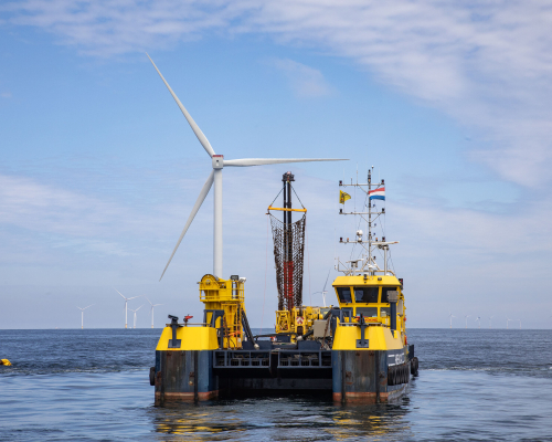 Amazon North Sea Seaweed Picture credits ©KLOET-73dd11072025-large