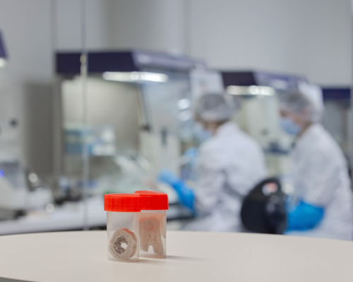 Example of 3D printed bones in the Lab of ICMP in The Hague.