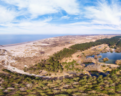 Panorama van duinen, zee en bossen bij de kust