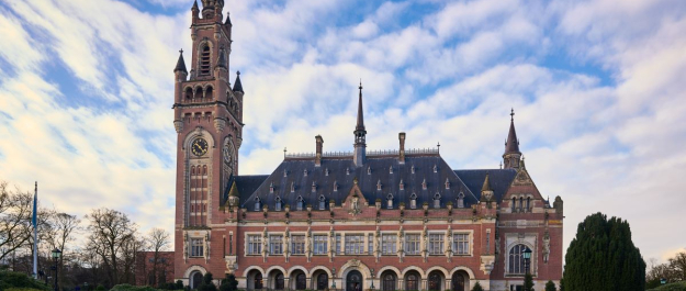 Vredespaleis - Phil Nijhuis.jpg