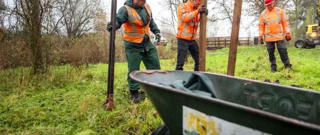 Three workers in safety vests are planting posts in the ground.