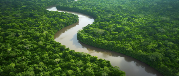 Aerial view of a winding river surrounded by dense green trees.