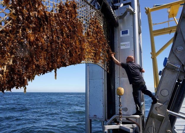 Harvesting Seaweed picture made by Jurriaan Brobbel Fotografie
