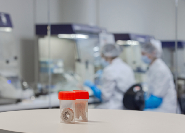 Example of 3D printed bones in the Lab of ICMP in The Hague.