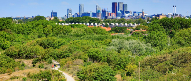 Skyline The Hague view from the dunes Low res