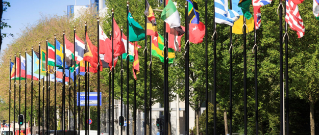 Flag parade at the Johan de Wittlaan in the International Zone source Toolkit The hague