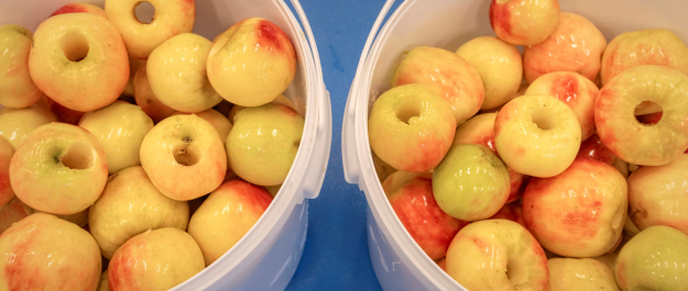 00% zero waste factory and total value Yespers apples underway to breakfast product