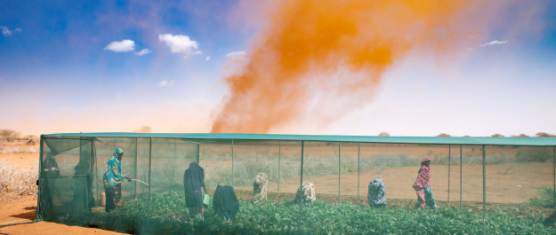 Source: Mercy Corps Climate Action campaign in Kenya Emillstein