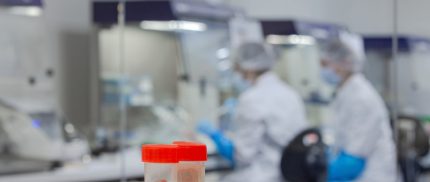 Example of 3D printed bones in the Lab of ICMP in The Hague.