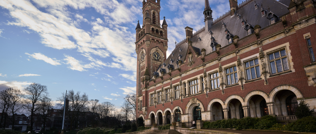 The Peace Palace against a blue sky