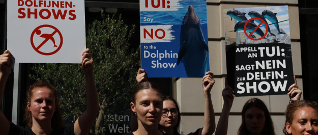 Activists hold signs protesting against dolphin shows.