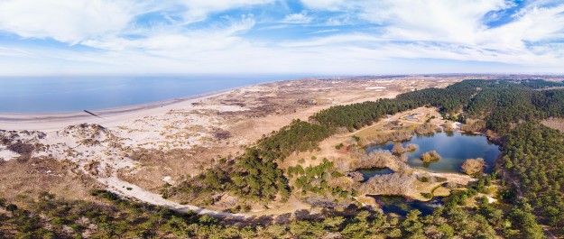 Panorama van duinen, zee en bossen bij de kust