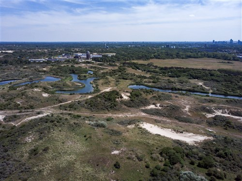 Protected bird resting areas behind the dunes in The Hague. Source The Hague and Partners - free of rights