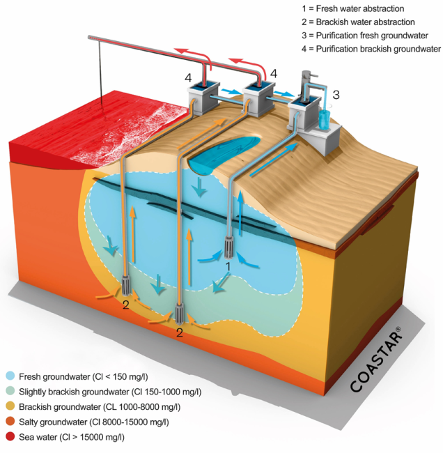 Freshman Project of Dunea