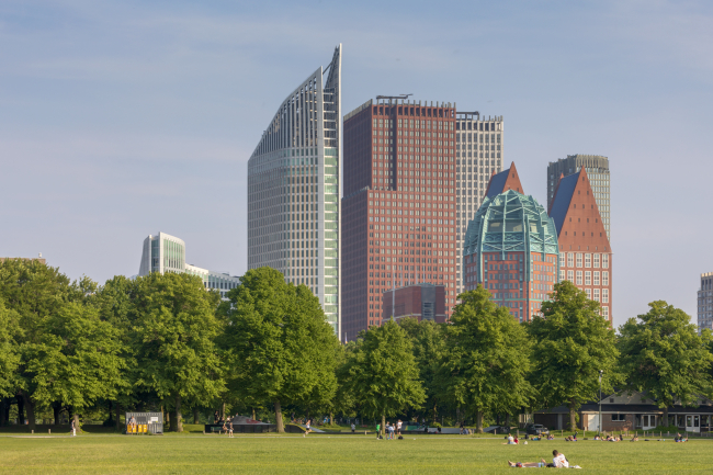 The Hague  The Hague