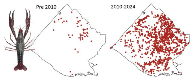 Map showing lobster distribution before and after 2010.