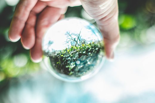 seeing nature through a transparent ball 