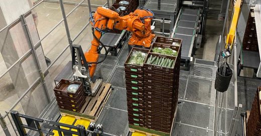 cucumber picking robot