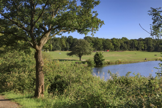 Water storage Westbroekpark. Helping the water and soil approach for the EU Urban Agenda. Picture free of rights provided on behalf of The Hague and Partners. 