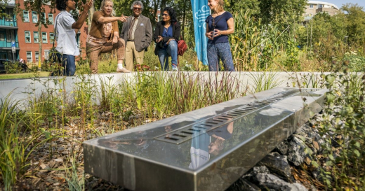 Urban Water Buffer Cromvliet. Photo credits Valerie Kuypers Urban Water Buffer Cromvliet. Photo credits Valerie Kuypers