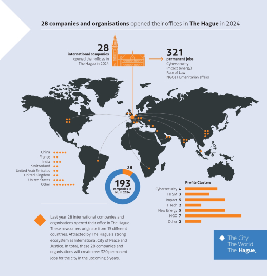 Annual results The Hague new businesses 2024 infographic by Twiet