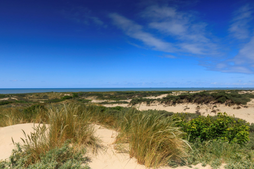 Dunes The Hague 