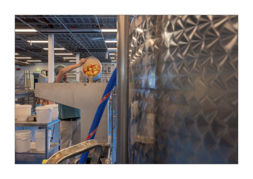 Employee working during the process in the factory. Photo credit to THP/Arjan de Jager.