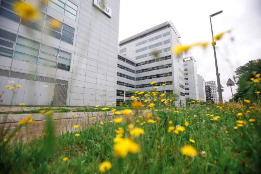 HSD Campus streetview with flowers HSD Campus streetview with flowers