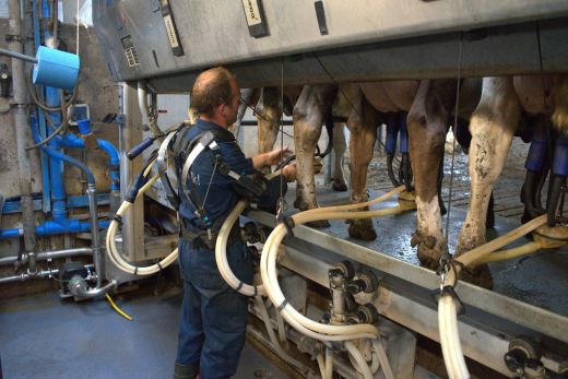 Skelex dairy industry
