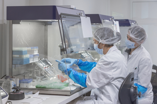 people at work at ICMP