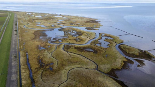 The Dutch Energy from Water Association linkedin post.jpeg