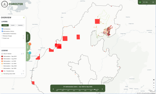 Overview of deforestation areas in 2025 with alerts.